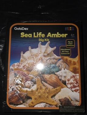 Sea Life Amber Dig Kit